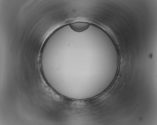 X0000115531190200911271339