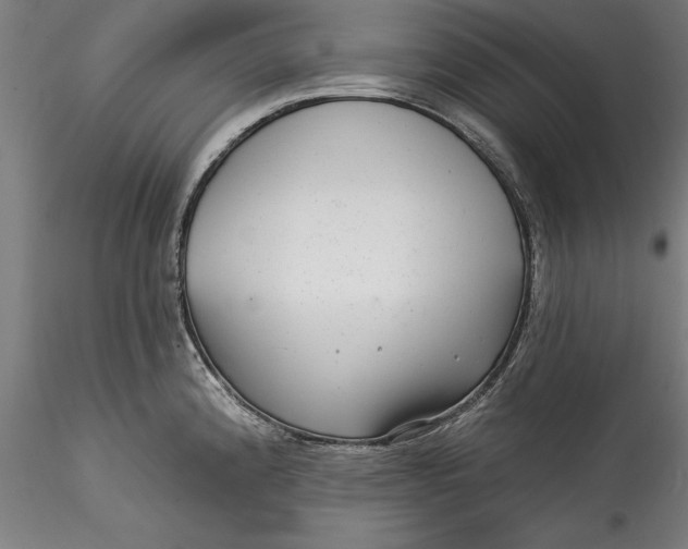 X0000115531192200911271339