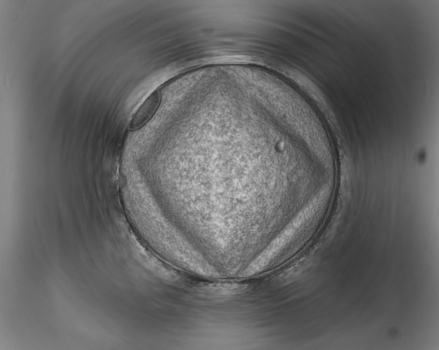 X0000115531193200911271339