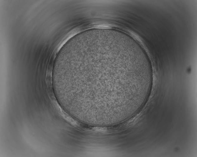 X0000115531194200911271339