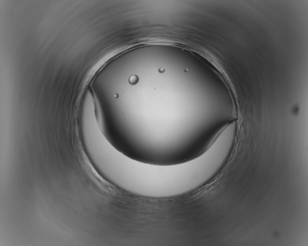 X0000115531195200911271339