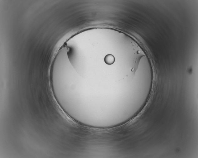 X0000115531196200911271339