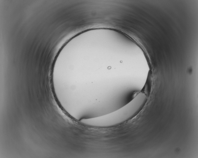 X0000115531197200911271339