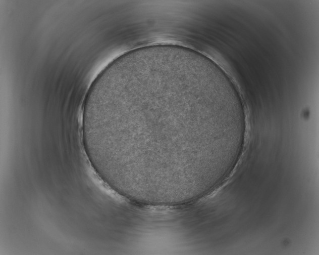 X0000115531198200911271339