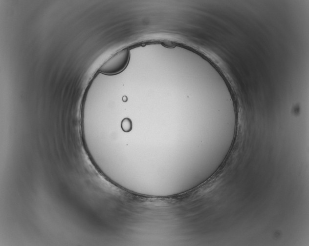 X0000115531199200911271339