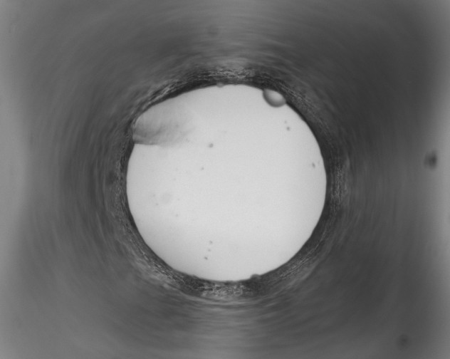 X0000115531201200911271338