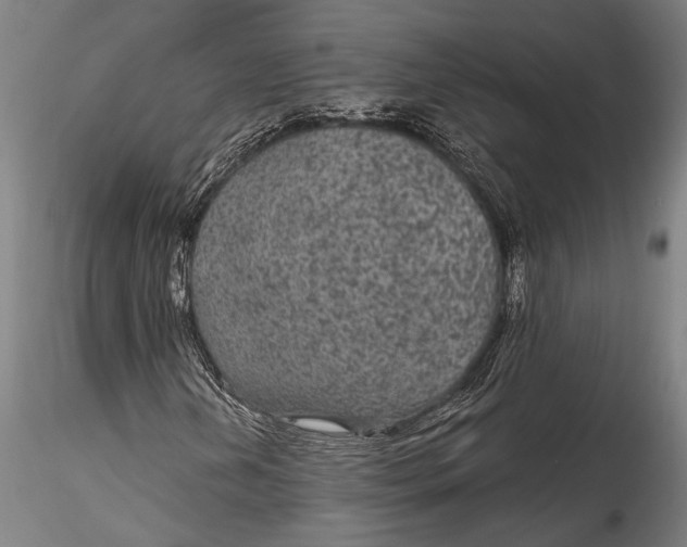 X0000115531202200911271338