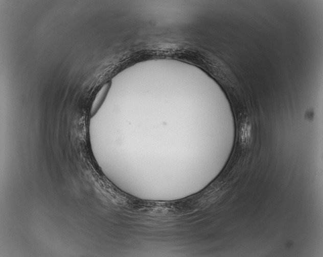 X0000115531204200911271338