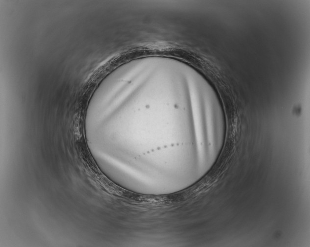 X0000115531205200911271338