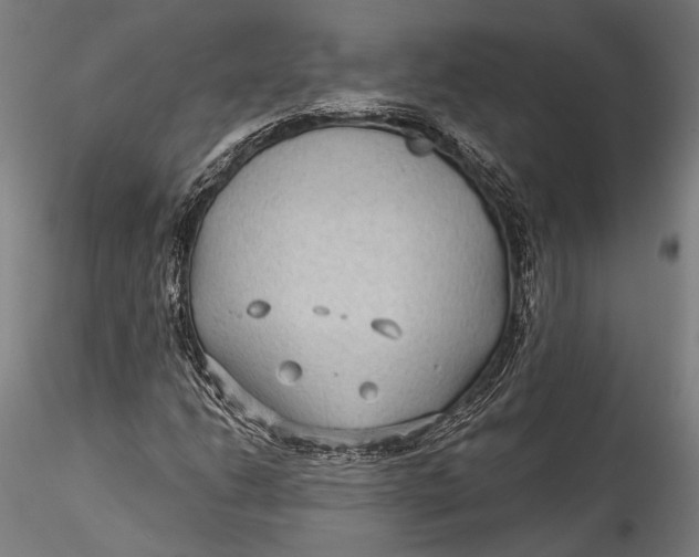 X0000115531206200911271338