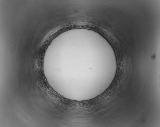 X0000115531207200911271338