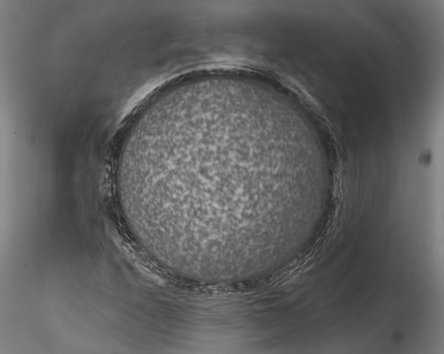 X0000115531208200911271338