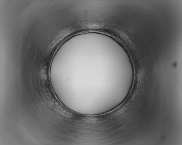 X0000115531209200911271338