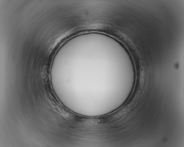 X0000115531210200911271338