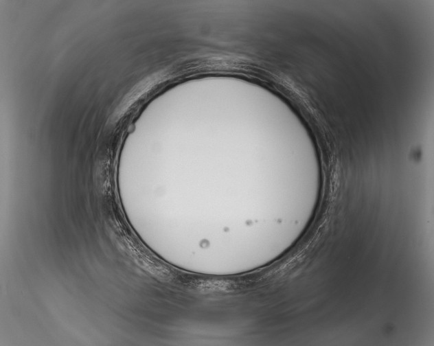 X0000115531211200911271338