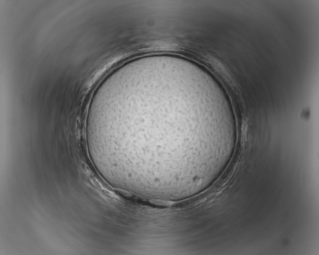 X0000115531212200911271338