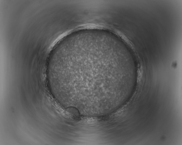 X0000115531213200911271338