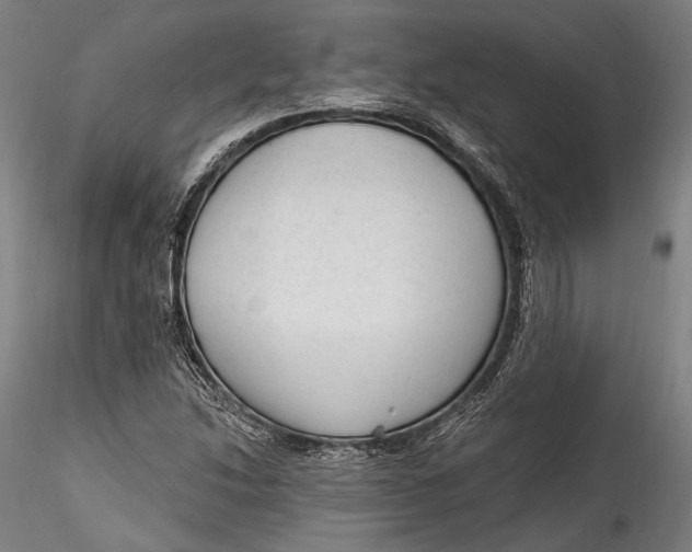 X0000115531214200911271338