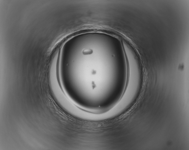 X0000115531215200911271338