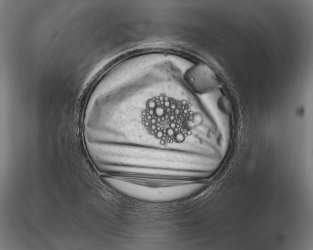 X0000115531216200911271338