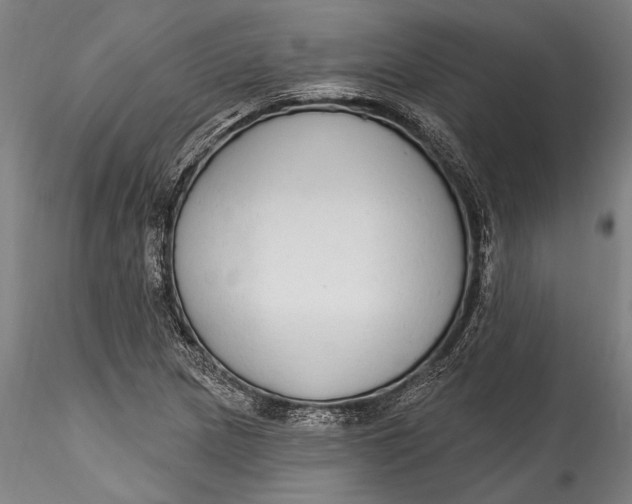 X0000115531217200911271338