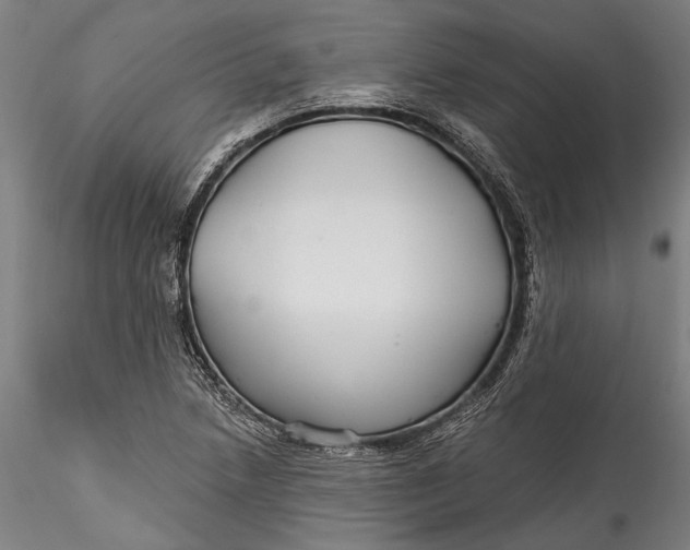 X0000115531218200911271338