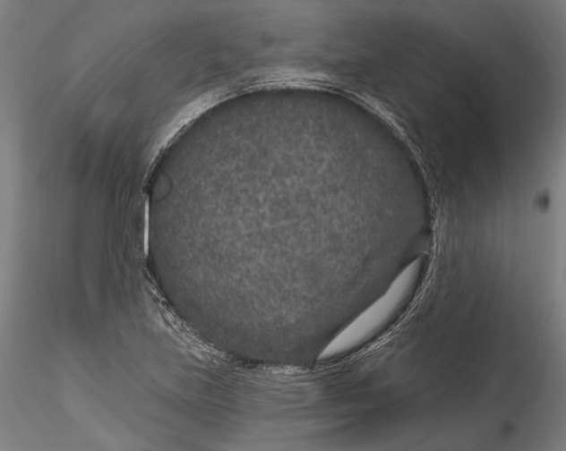 X0000115531219200911271338