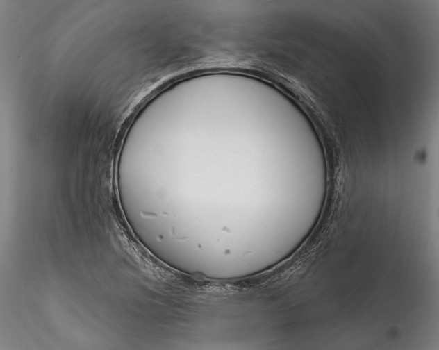 X0000115531220200911271338