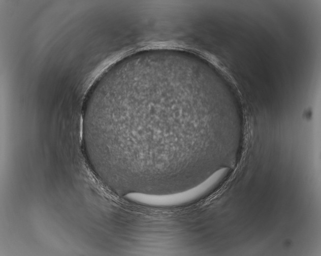 X0000115531221200911271338