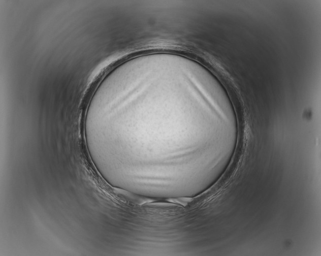 X0000115531222200911271338