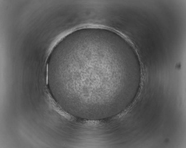 X0000115531223200911271338