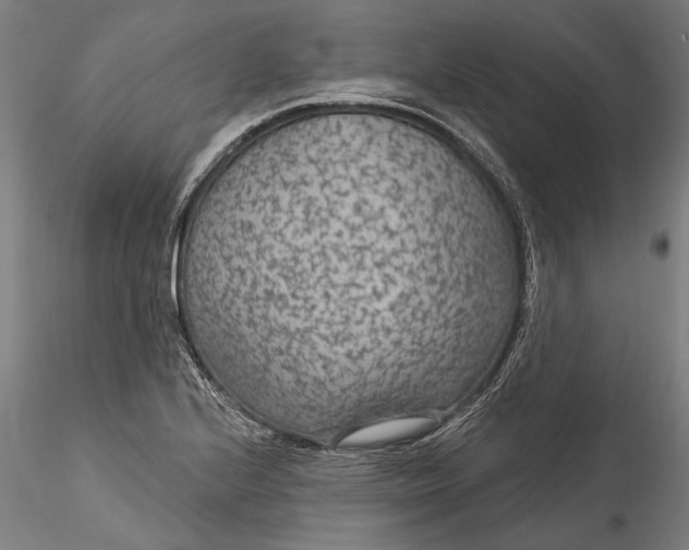 X0000115531224200911271338