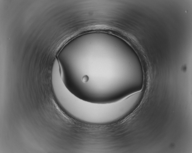 X0000115531225200911271338