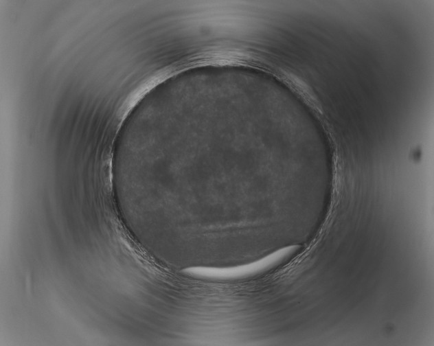 X0000115531226200911271338