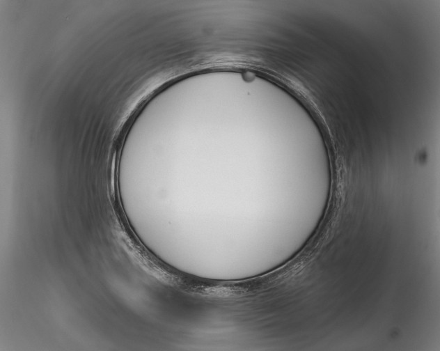 X0000115531227200911271338