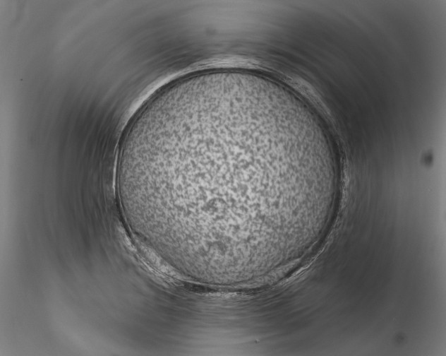 X0000115531228200911271338