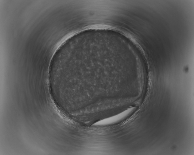 X0000115531229200911271338