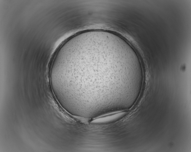 X0000115531230200911271338