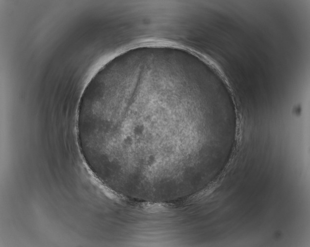 X0000115531231200911271338