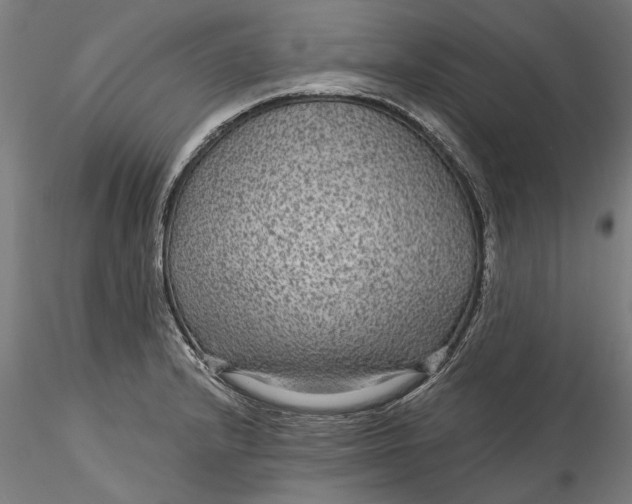 X0000115531232200911271338