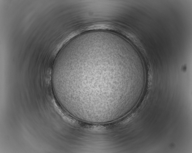 X0000115531233200911271338