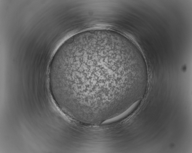 X0000115531235200911271339