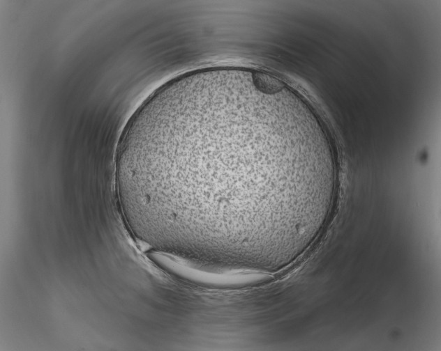 X0000115531236200911271339