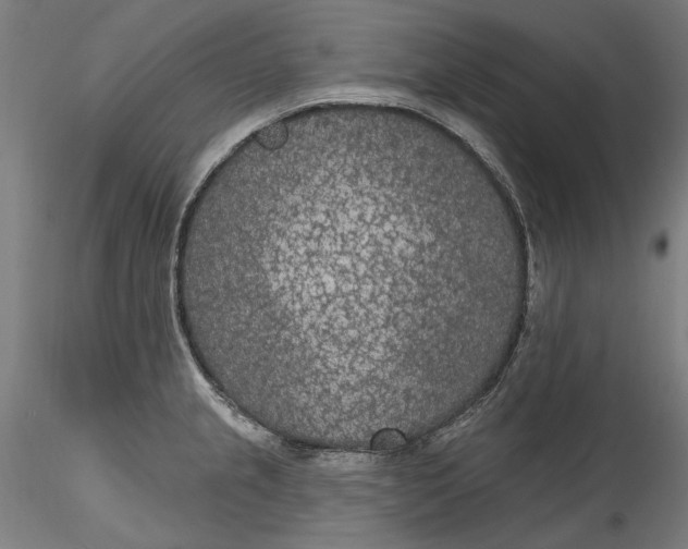 X0000115531237200911271339