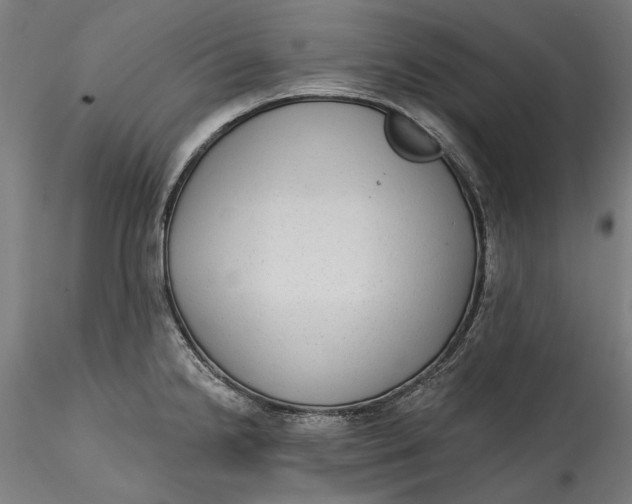 X0000115531238200911271339