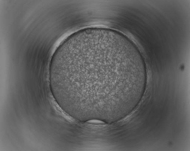 X0000115531240200911271339