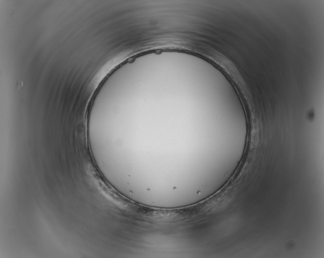 X0000115531242200911271339