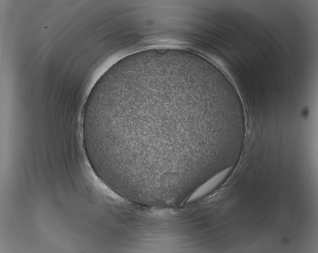 X0000115531243200911271339