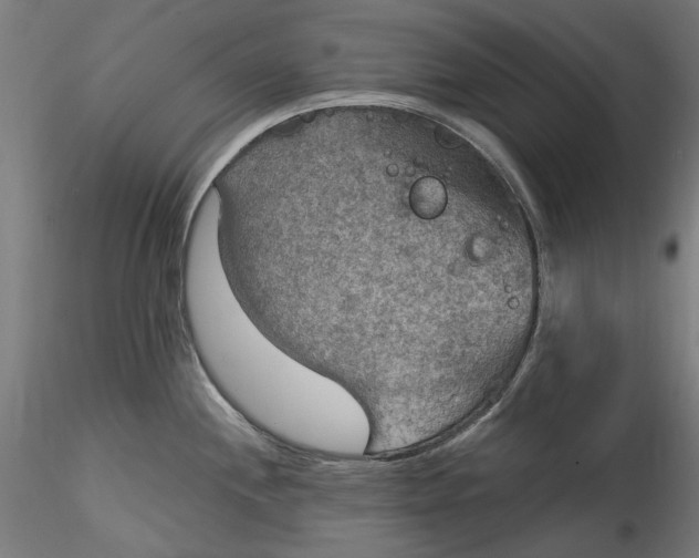 X0000115531244200911271339