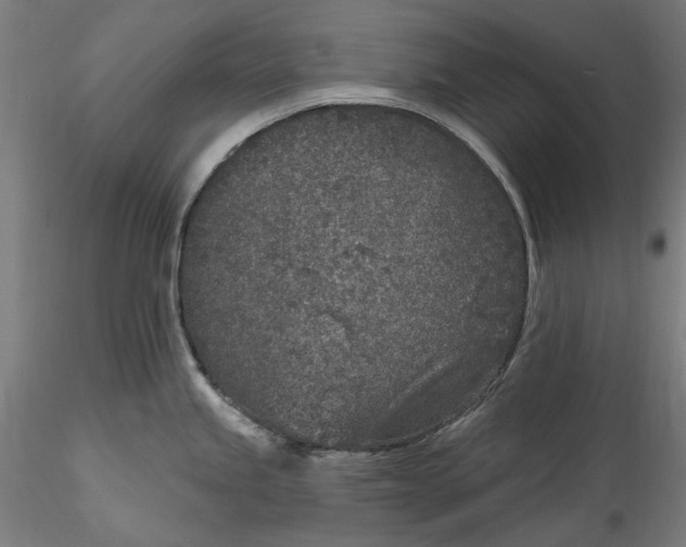 X0000115531245200911271339